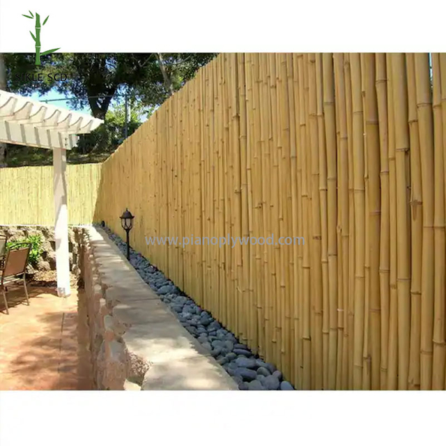 Bamboo Fence