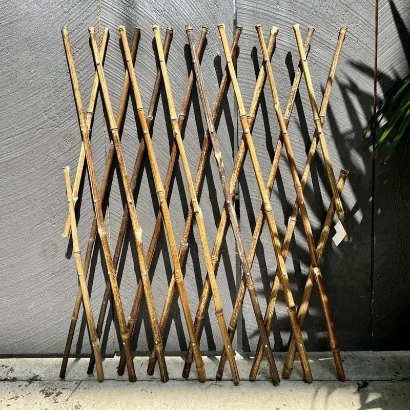 Expandable Fence