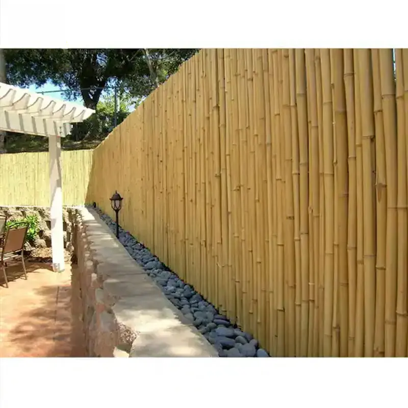 Bamboo Fence