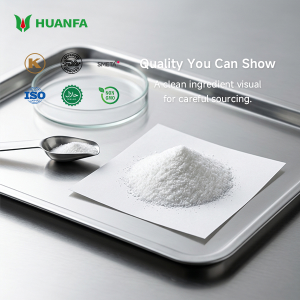 Halal Xylitol Supplier – Premium Quality from a Trusted Corn Processing Leader