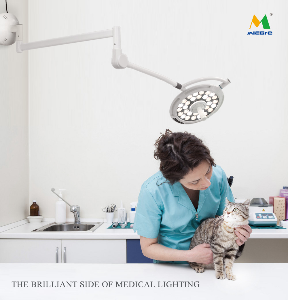 The Essential Role of Pet Surgical Instruments and Lights in Veterinary Medicine