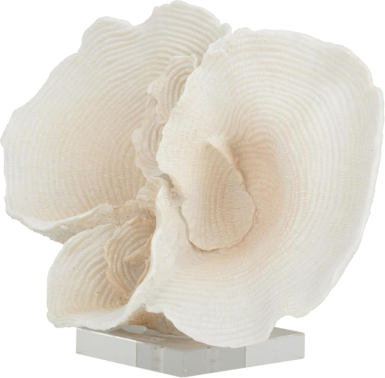 Coral Decor Home Ornament White Resin with Acrylic Base Home Decoration Artificial Model Aquarium