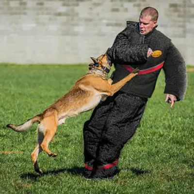 Bite Resistant Fabric Options for Pet Handling Gloves in Veterinary Exports
