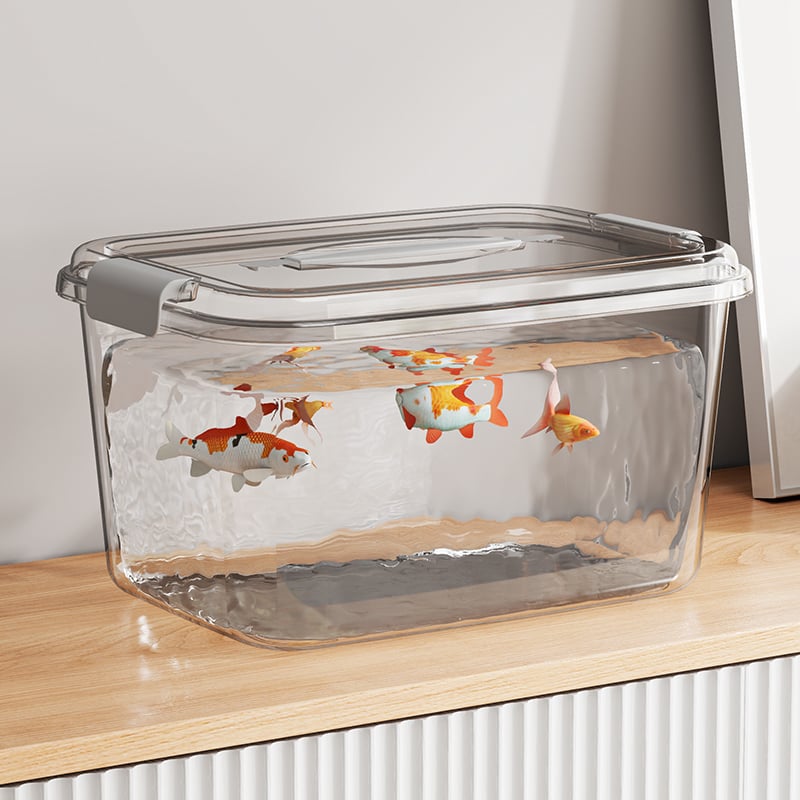 PET Transparent Box