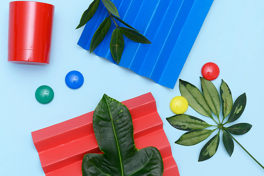 The Future of Sustainable Food Packaging: What Brands Need to Know