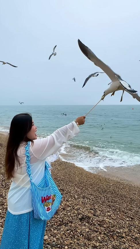 Day 1: Arrival in Dalian – Exploring the Coastal Beauty