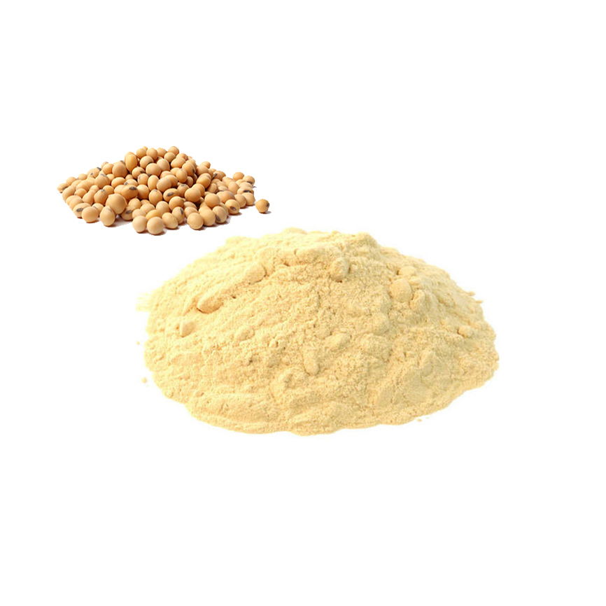 Soy-Protein-Powder.jpg