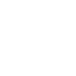 SUSTAINABLE PARTNERSHIP