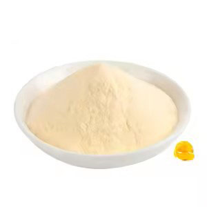 11(62744d7edb).jpg