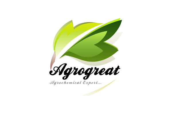 Shanghai Sinogreatland Industrial co.,Ltd