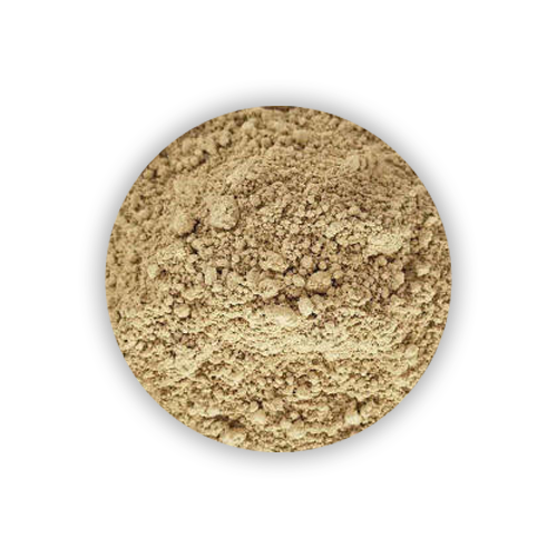 Bacillus amyloliquefaciens 100 Billion CFU/g WDG Biopesticide
