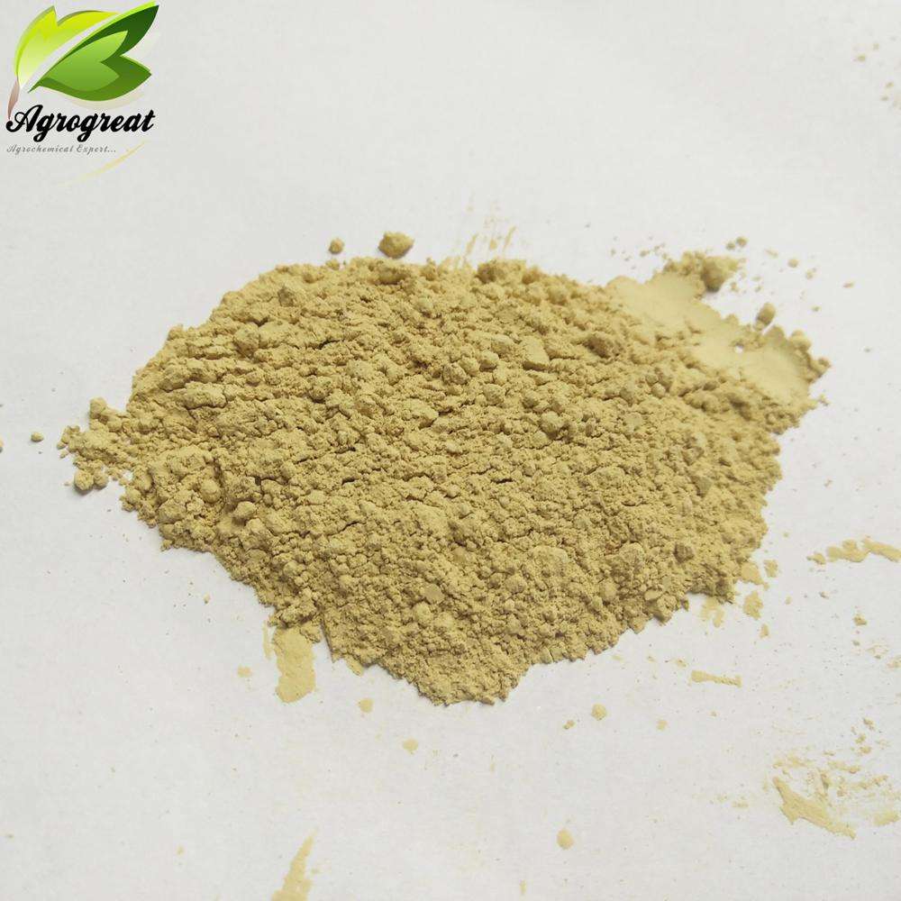 ዋጋ በሚያስችል ትልቅ መጠን የግዢ መፍትሄዎች