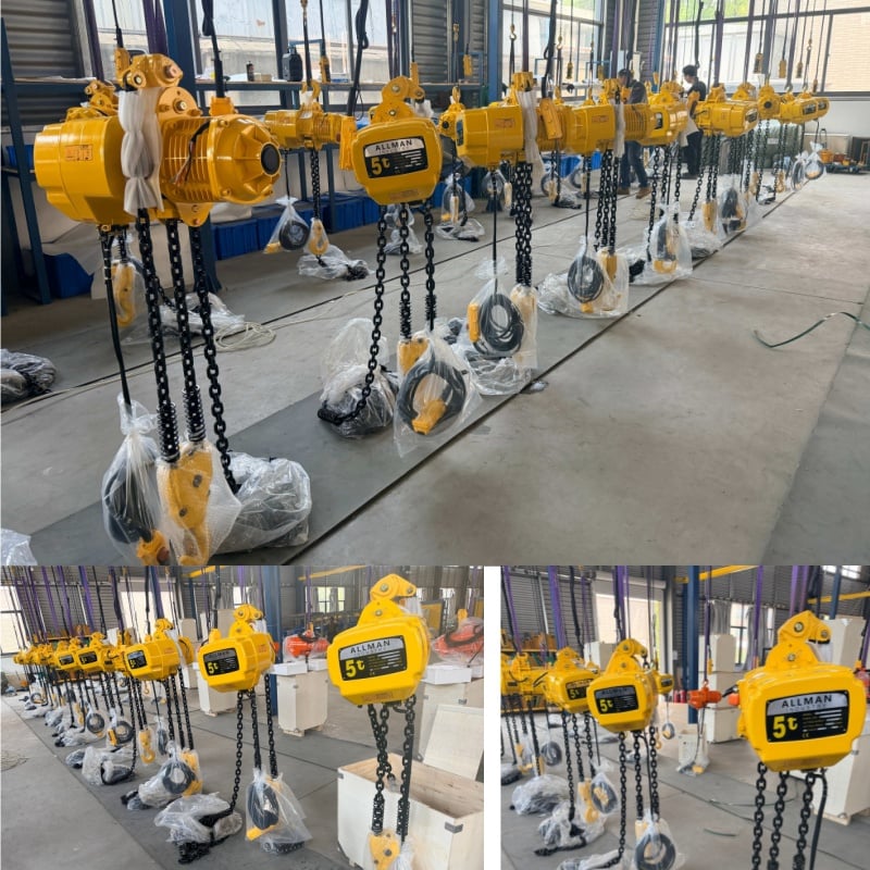 lifting chain hoist AMEH model.jpg