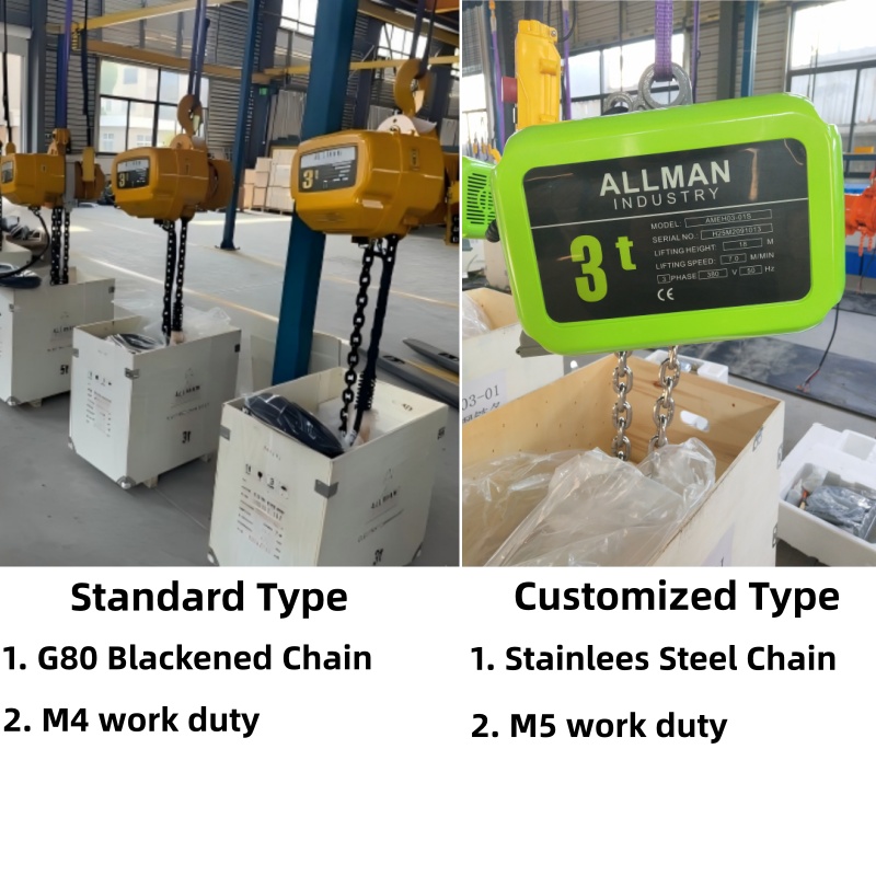 Customized Electric Chain Hoist