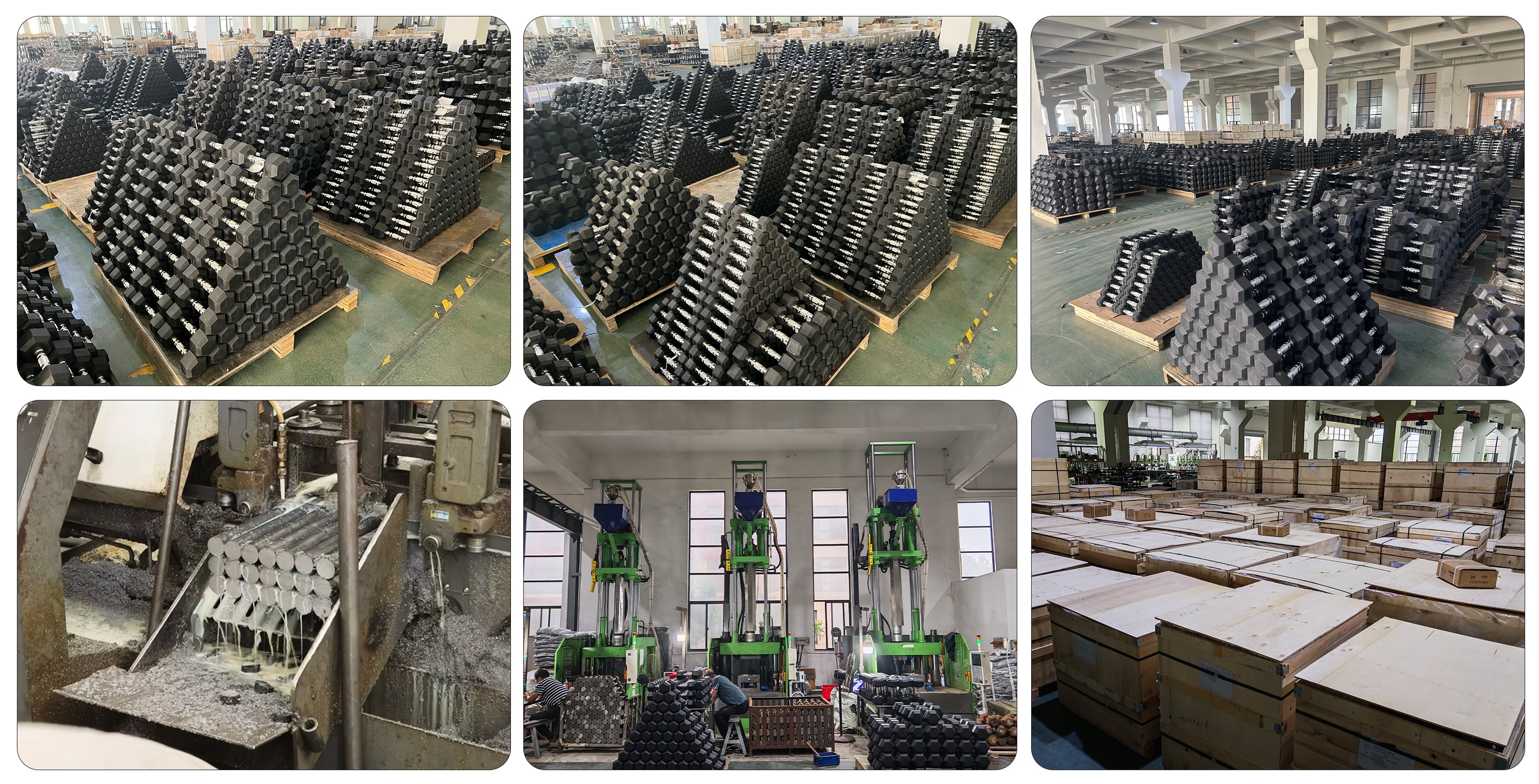 ommercial-rubber-hex-dumbbell-manufacturer