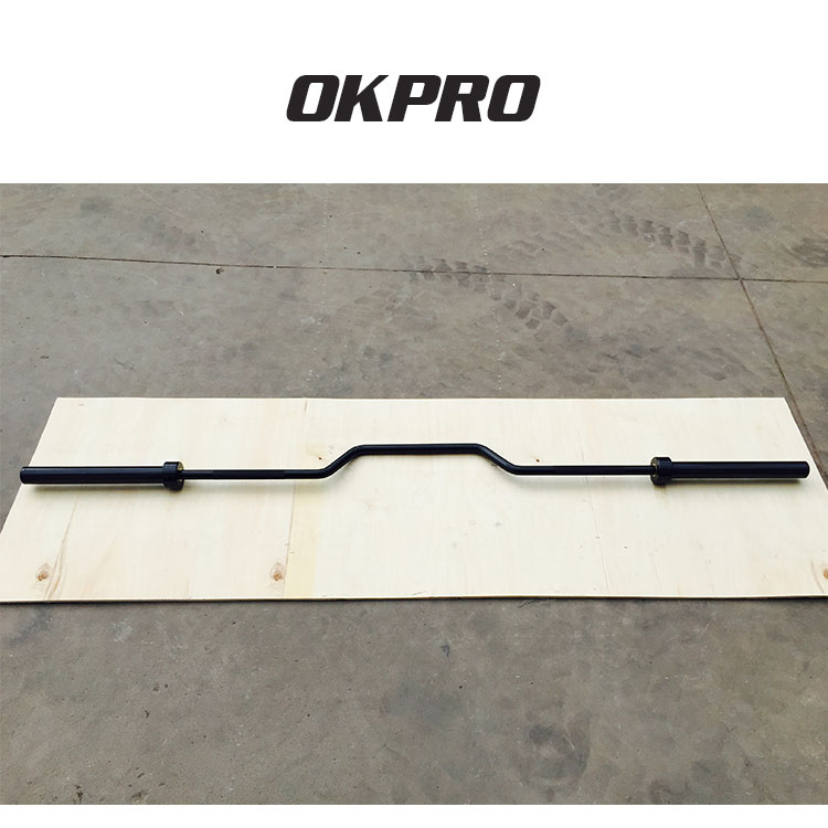 cambered bar.jpg