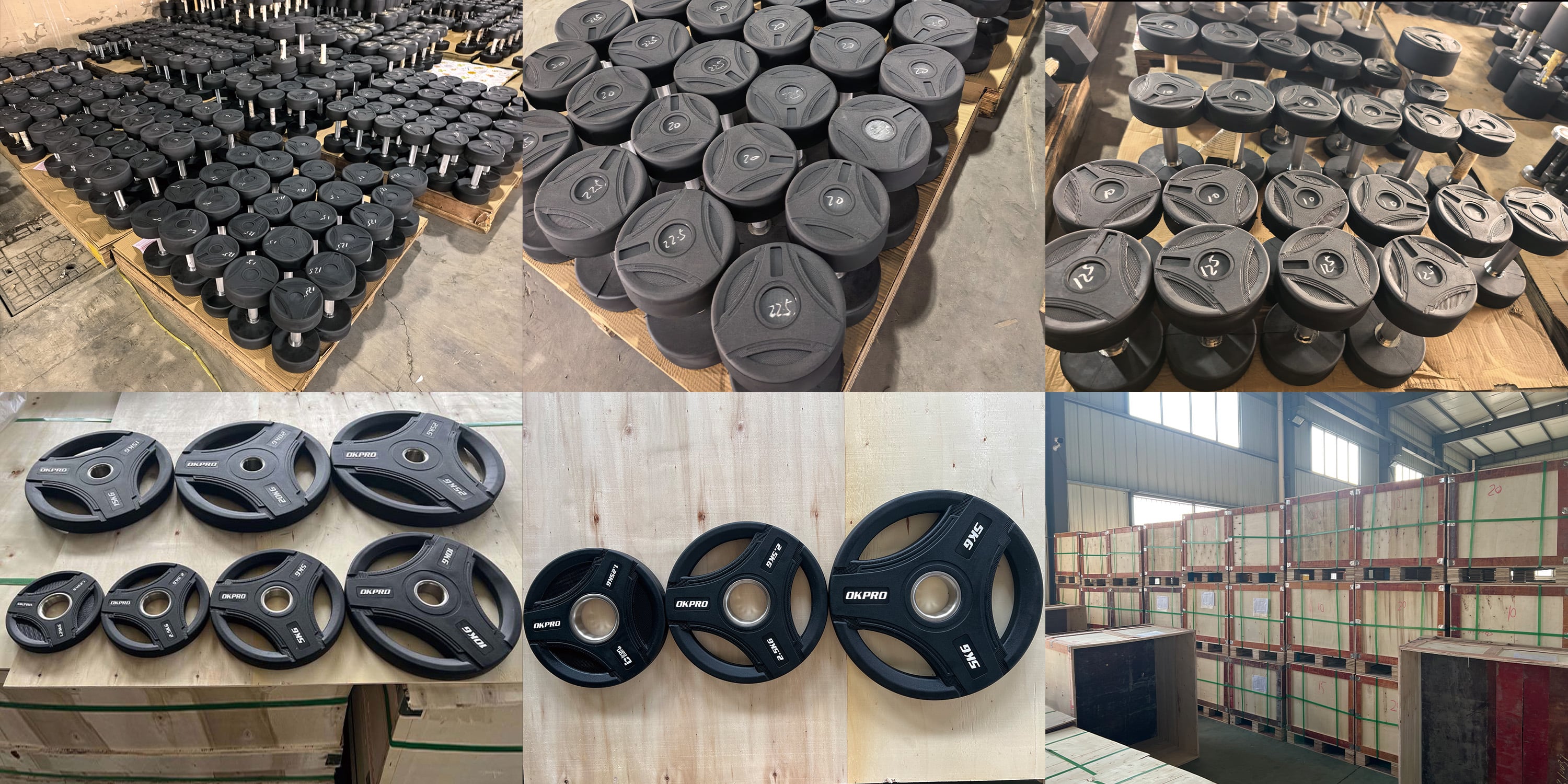 commercial-rubber-dumbbell-manufacturer