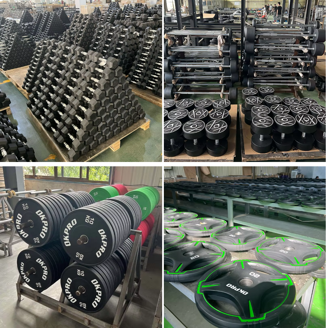 commercial fitness equipment.png