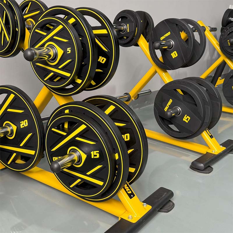 How Do Weight Plates Increase Training Flexibility for Gyms?