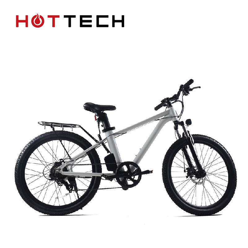 26 Inch 36V 250/350W 10.4Ah Mountain Electric Bike
