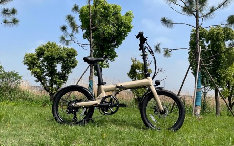 20 Inch Dual Battery Folding E-bike
