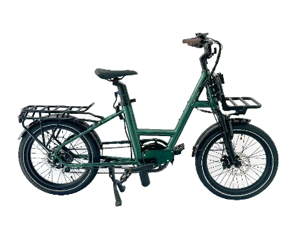 Come Scegliere la Giusta Bicicletta Elettrica per il Carico