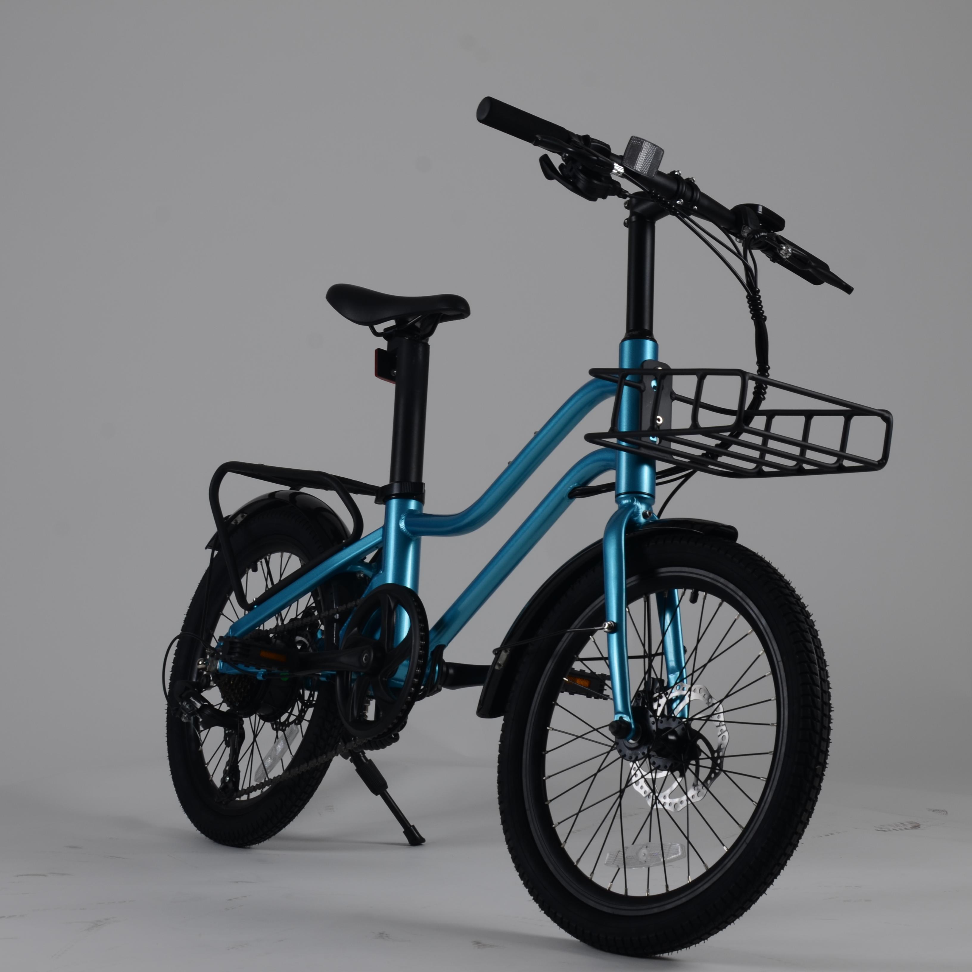 Eco-Friendly Mobility