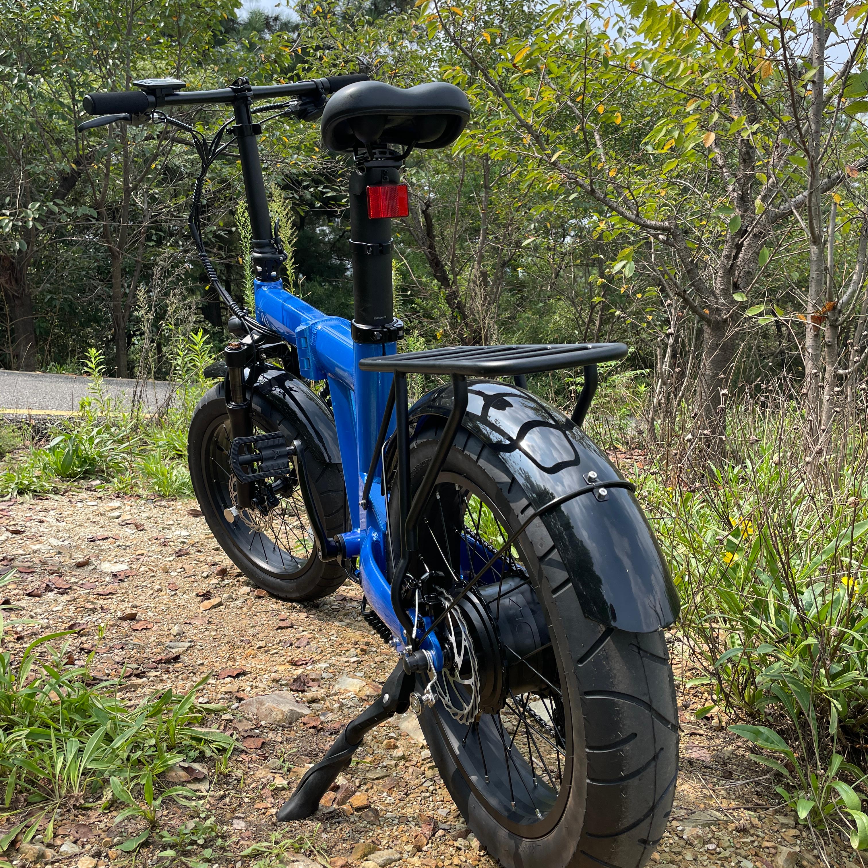 Avanceret Elektrisk Drivsystem
