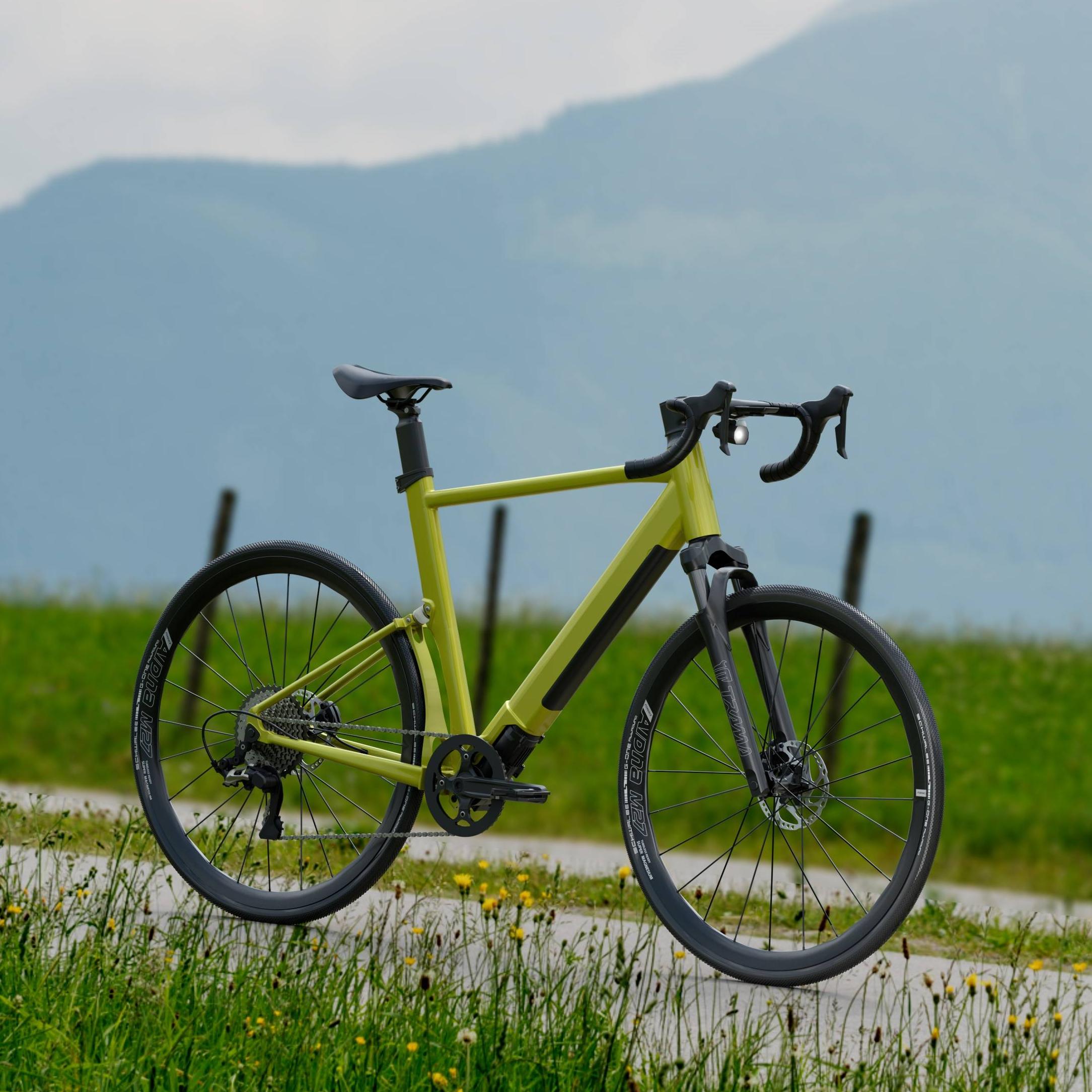 Sustainable Urban Mobility