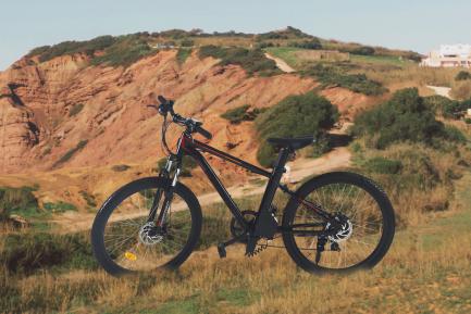 Mountain E-bikes