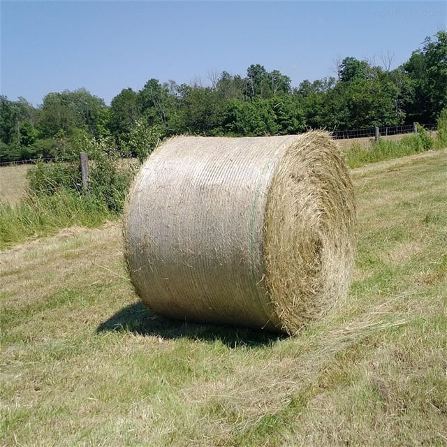 agriculture-2