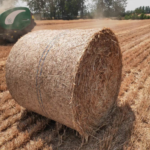 How Bale Net Wrap Preserves Hay Quality