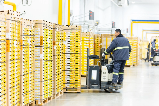 food cold chain-2