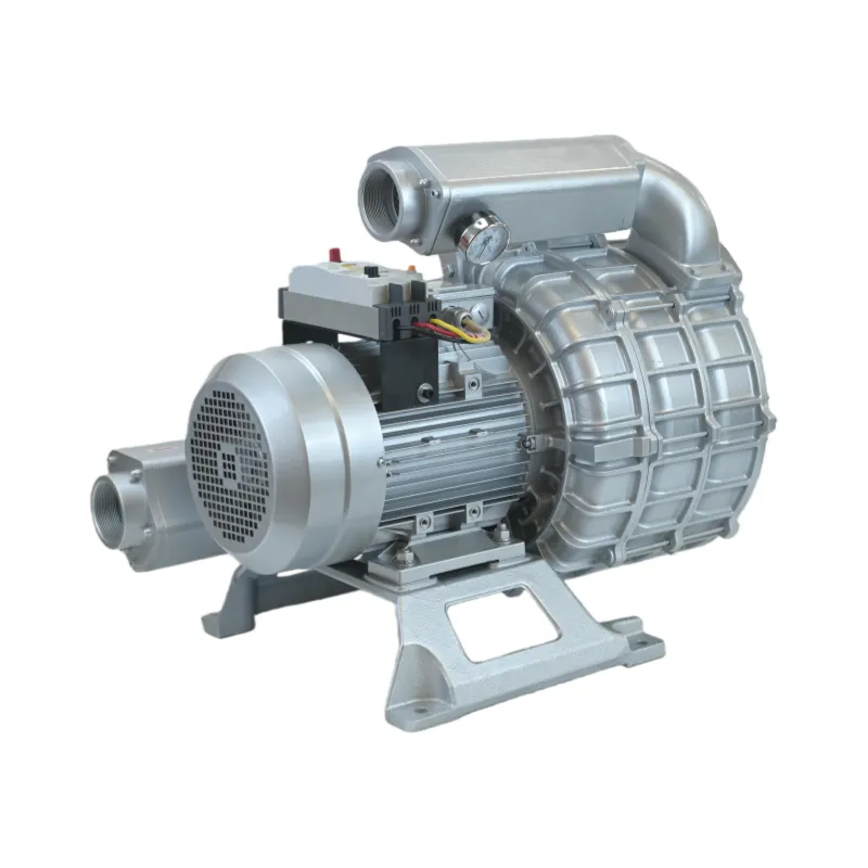 How to Troubleshoot Common Pressure Loss Issues in Vacuum Pumps?