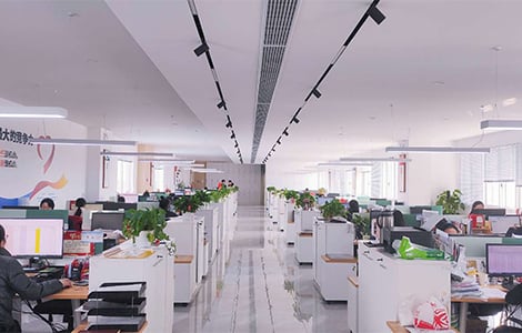 Professional Sales Team