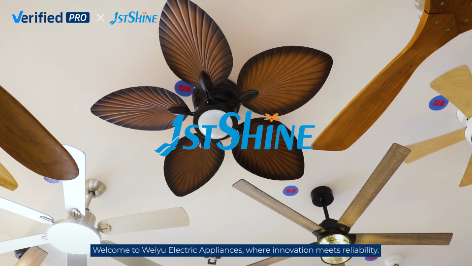 חברת 1stshine אינדוסטריאל בעמ