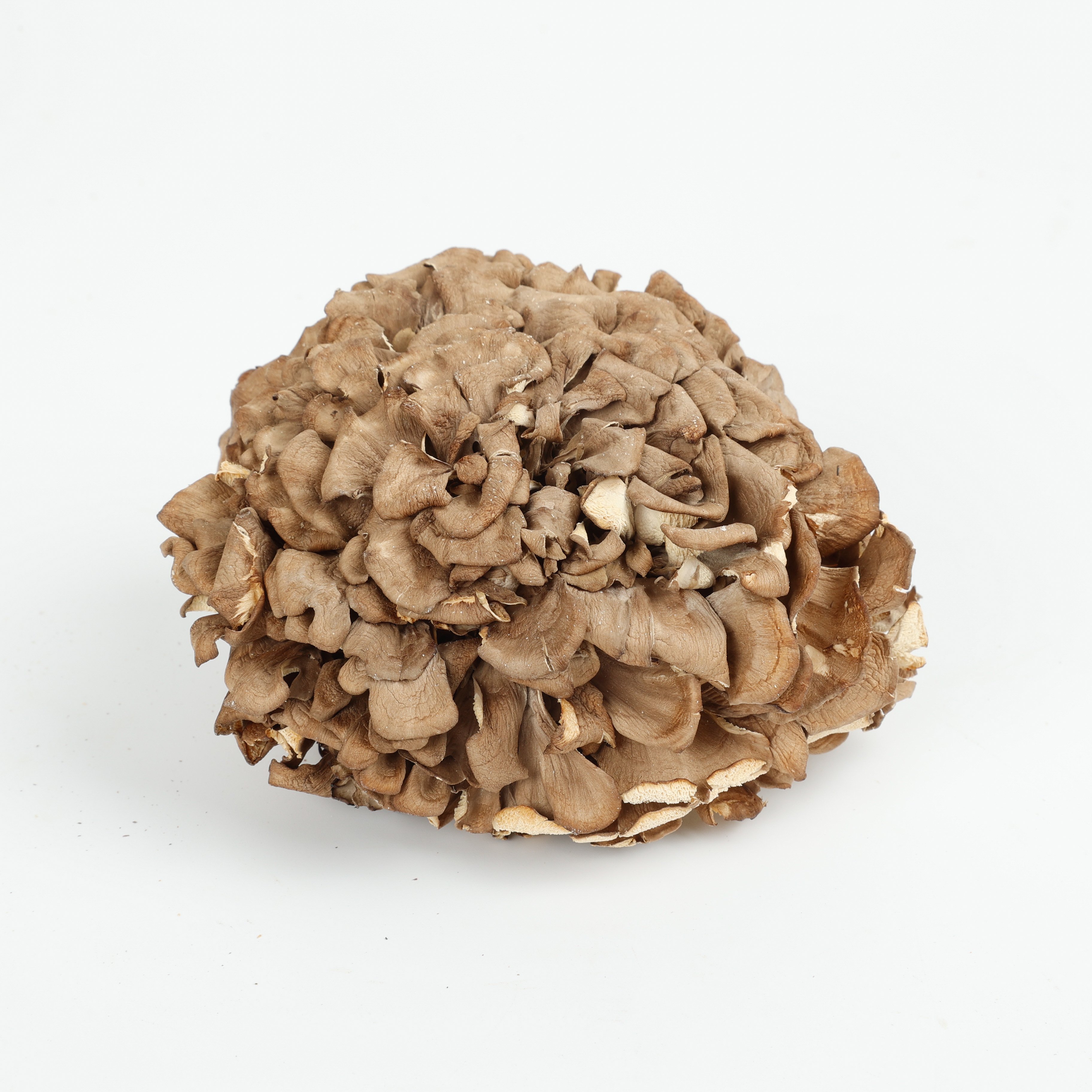 Sustainable Sourcing Practices