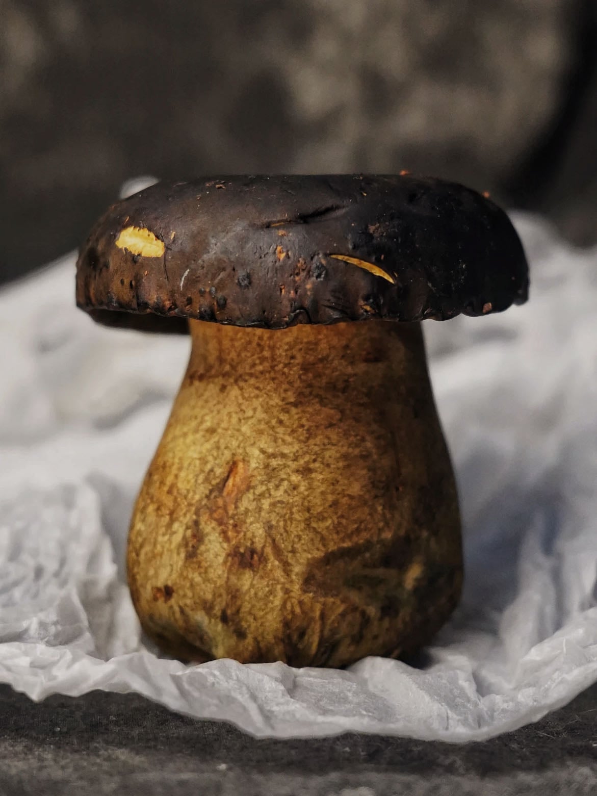 Premium Dried Porcini Mushrooms from Shanghai Detan