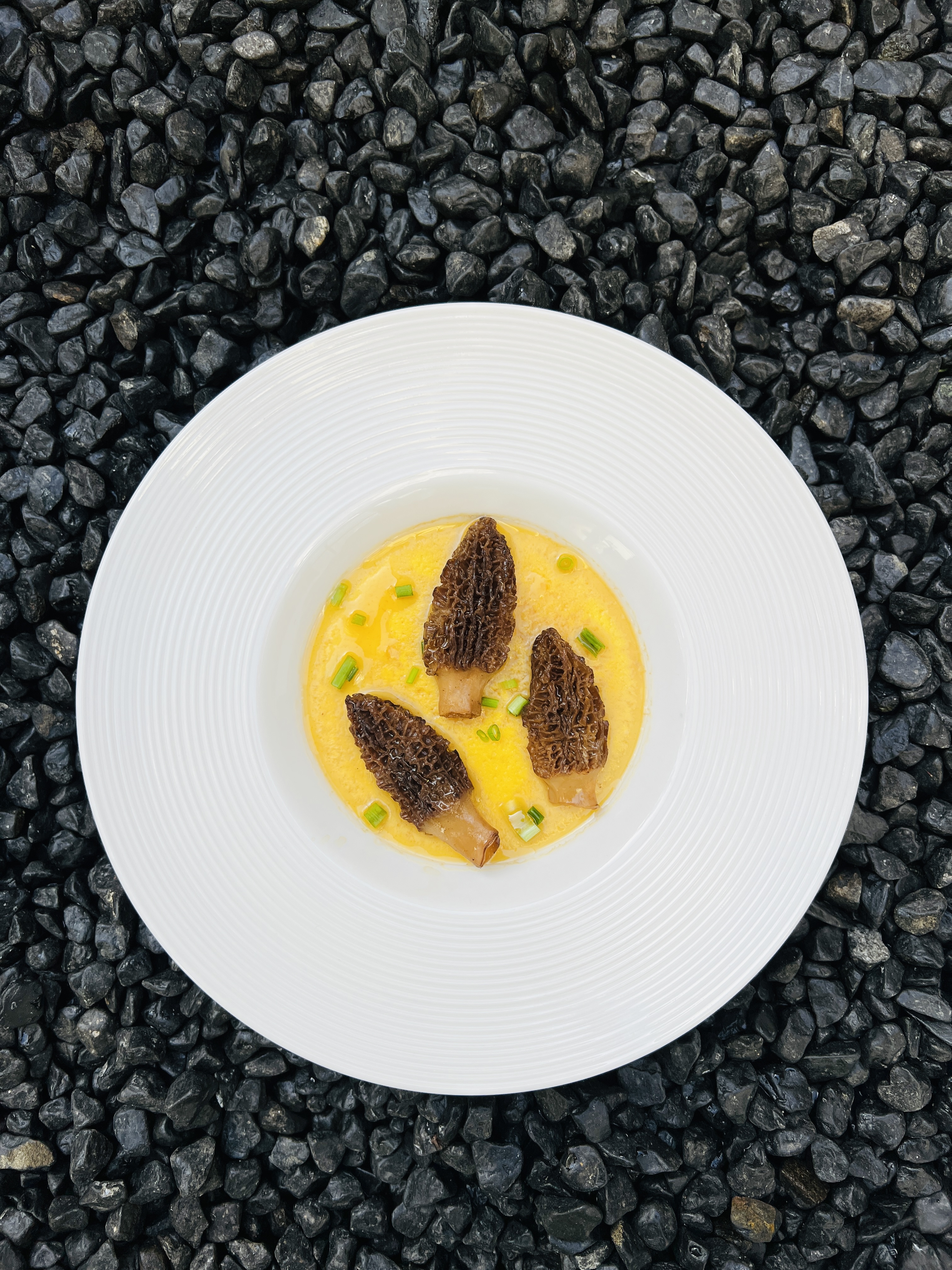 Champignons morilles premium au kilogramme pour délices culinaires