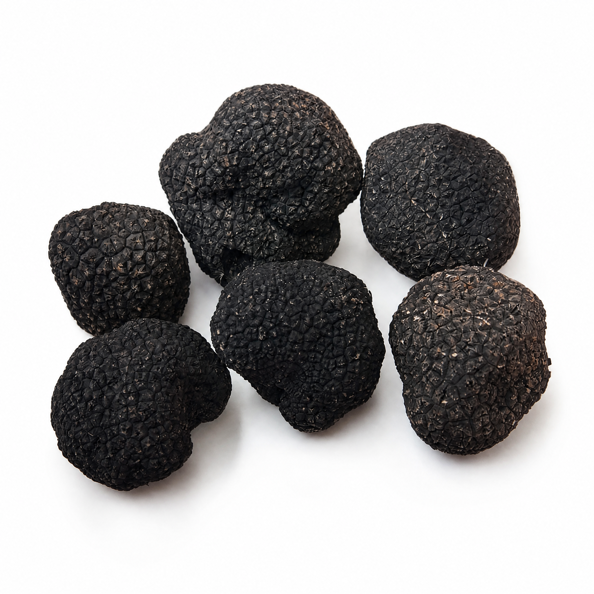 Fresh Black Truffle Selection Guide for Professional Buyers