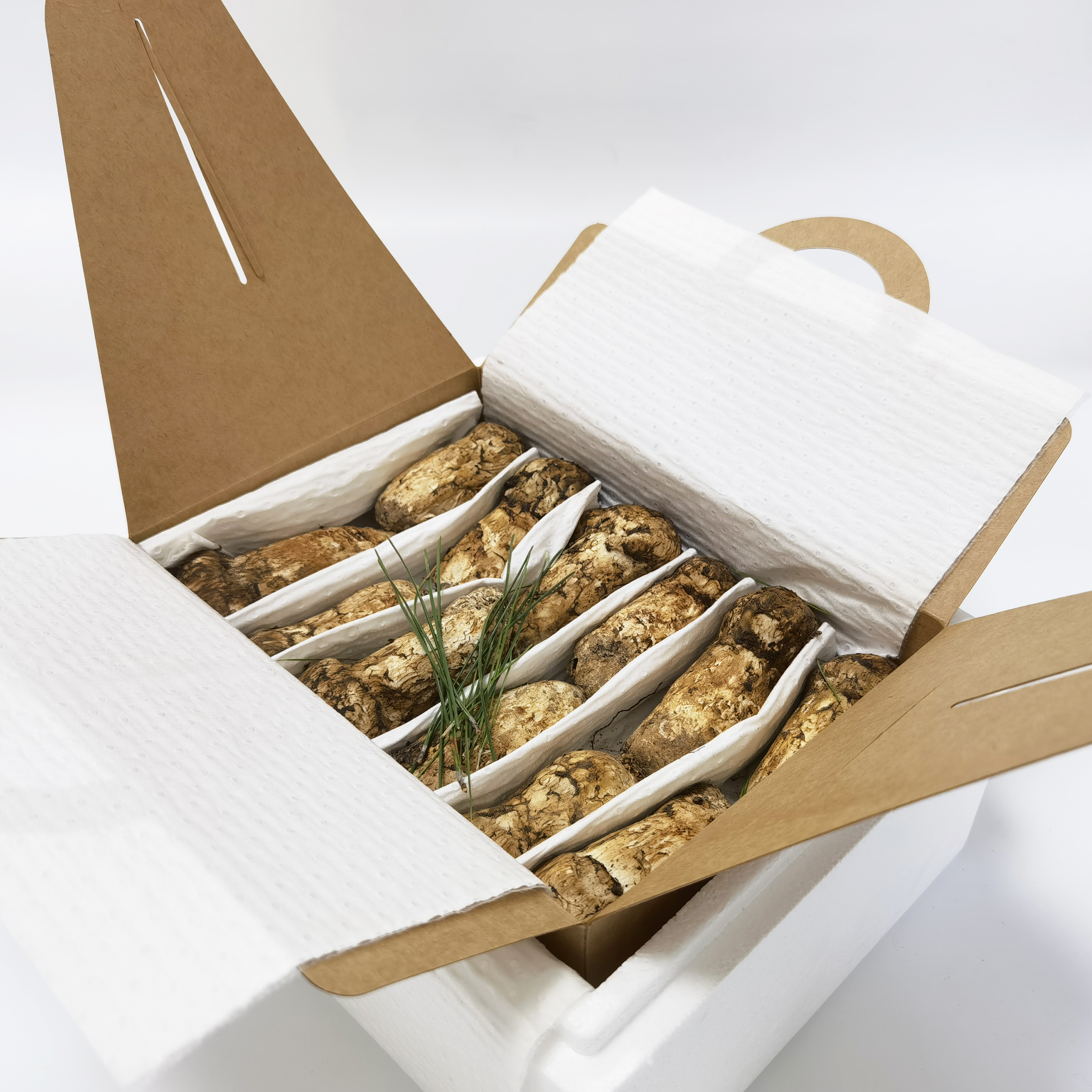 Den næringsmessige verdien av matsutake