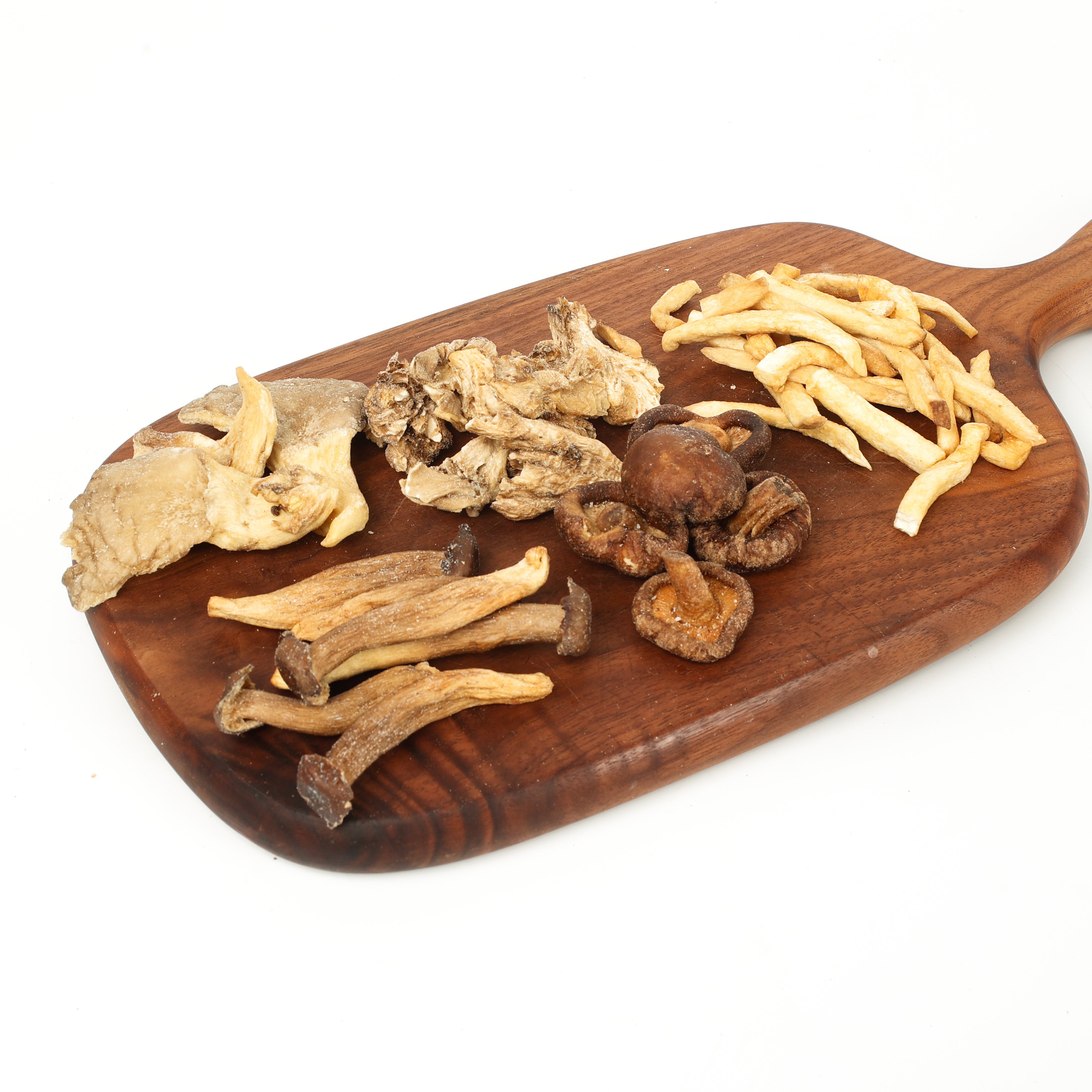 Champignon royal oyster mini haut de gamme pour l'excellence culinaire
