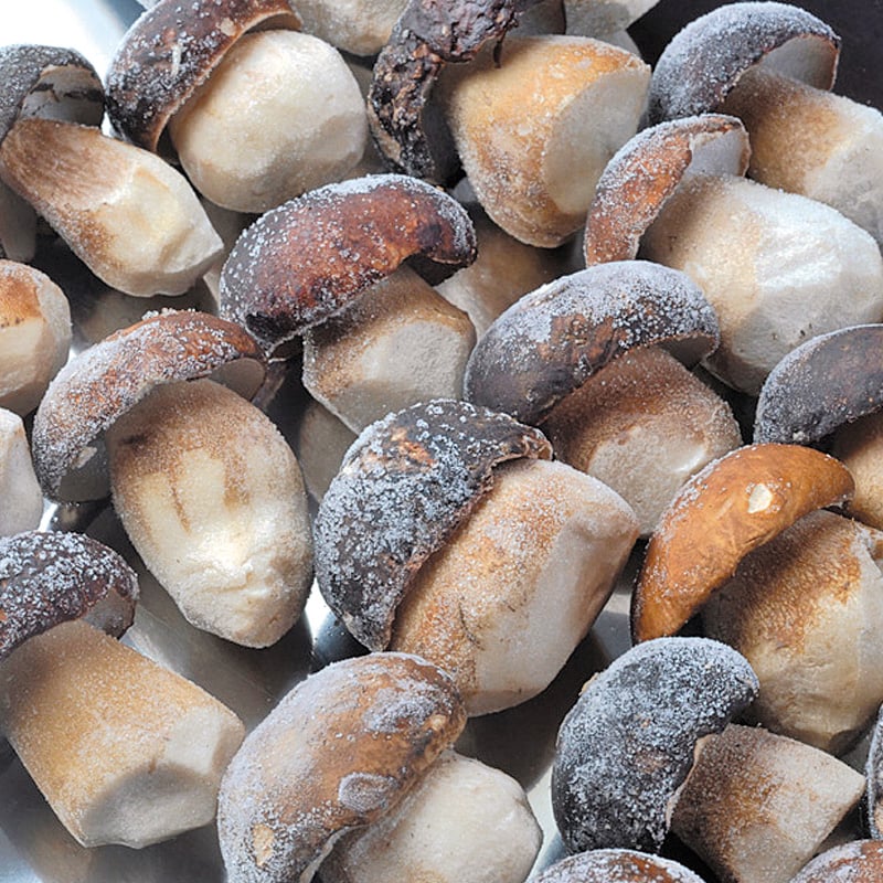 Competitive Porcini Mushroom Price for Global Markets