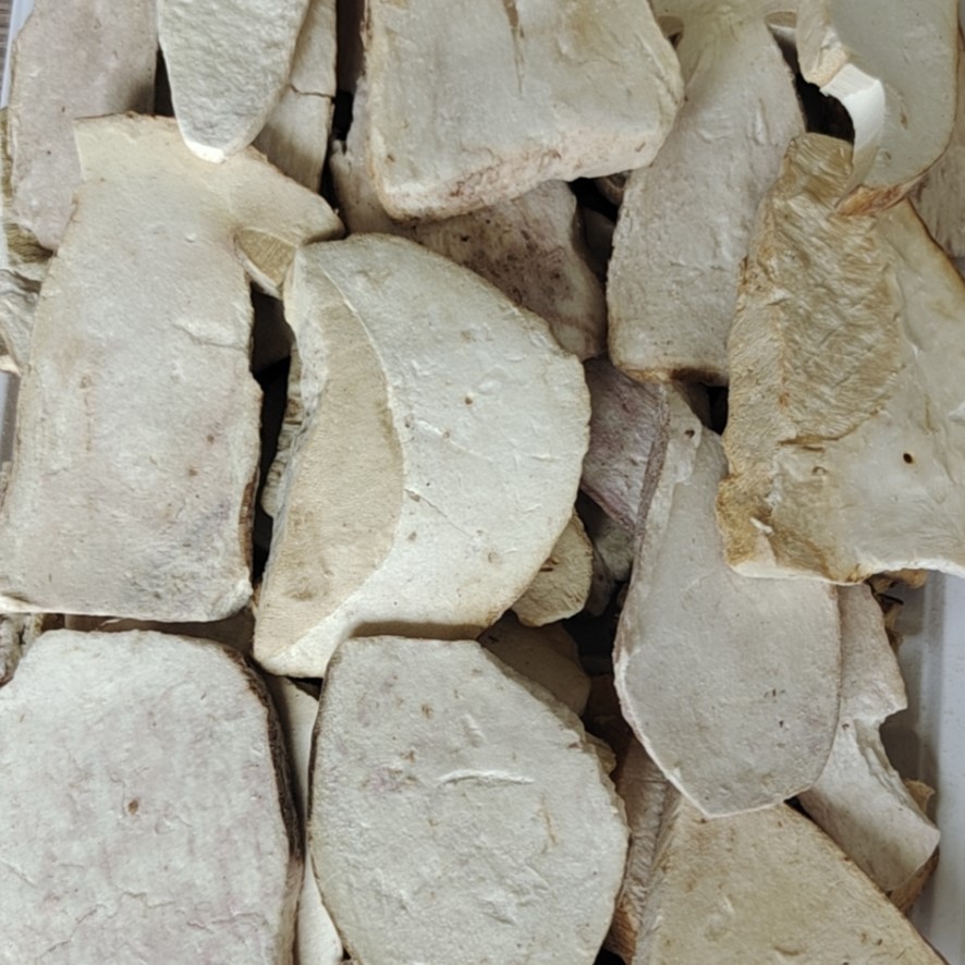 বোলেটাস এডুলিস