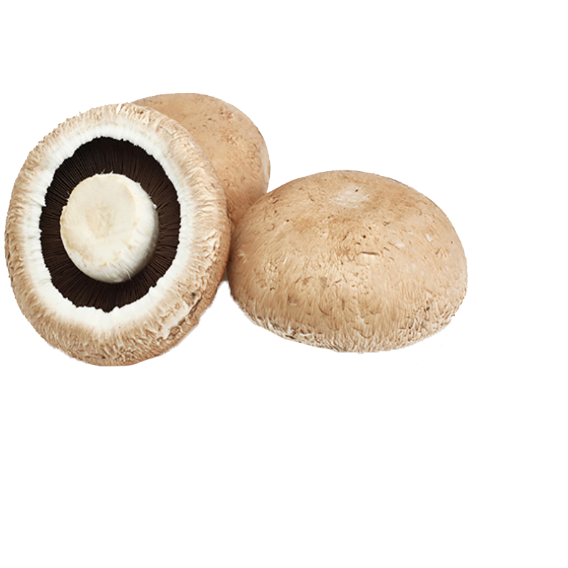 How to ensure consistent quality of mass Portobello supplies?
