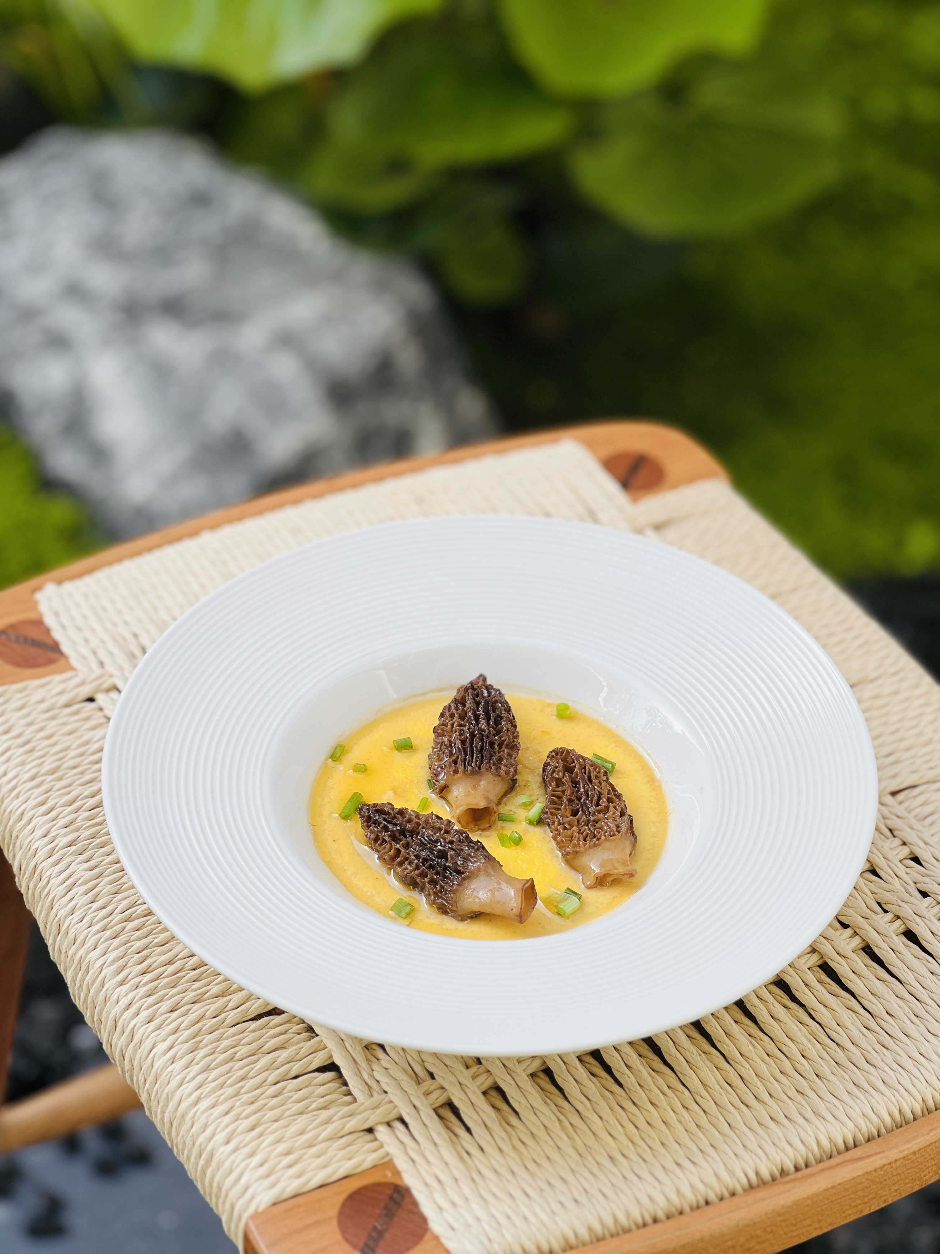 Morchella Esculenta haut de gamme provenant de Shanghai Detan Mushroom & Truffles Co., Ltd.