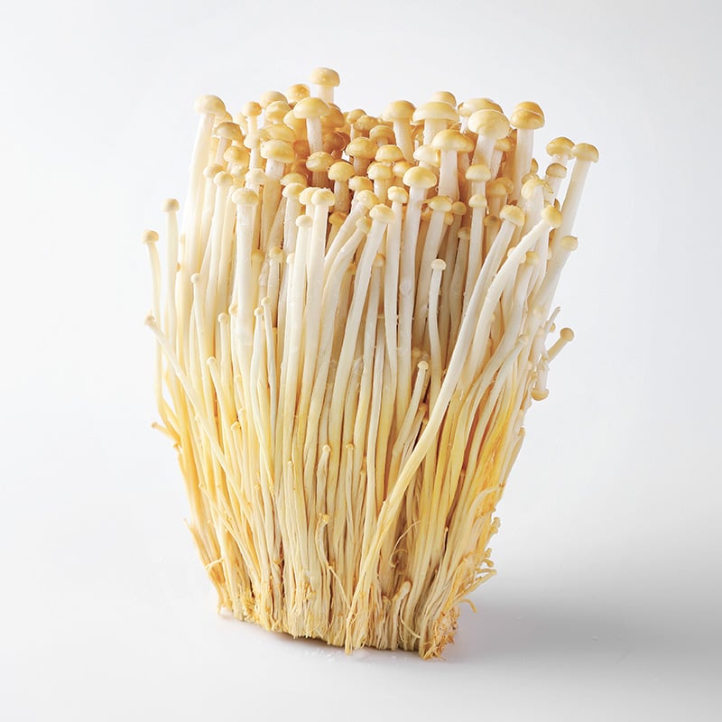 Golden Enoki Mushroom