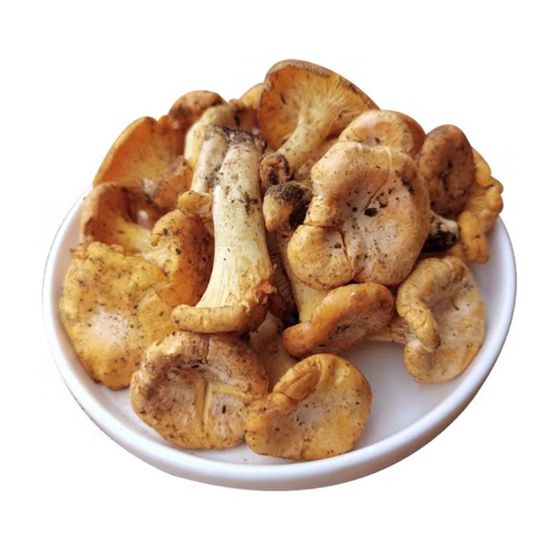 Svampe Magi Fra Shiitake til Kanterell - Utforsk Globale Smaker