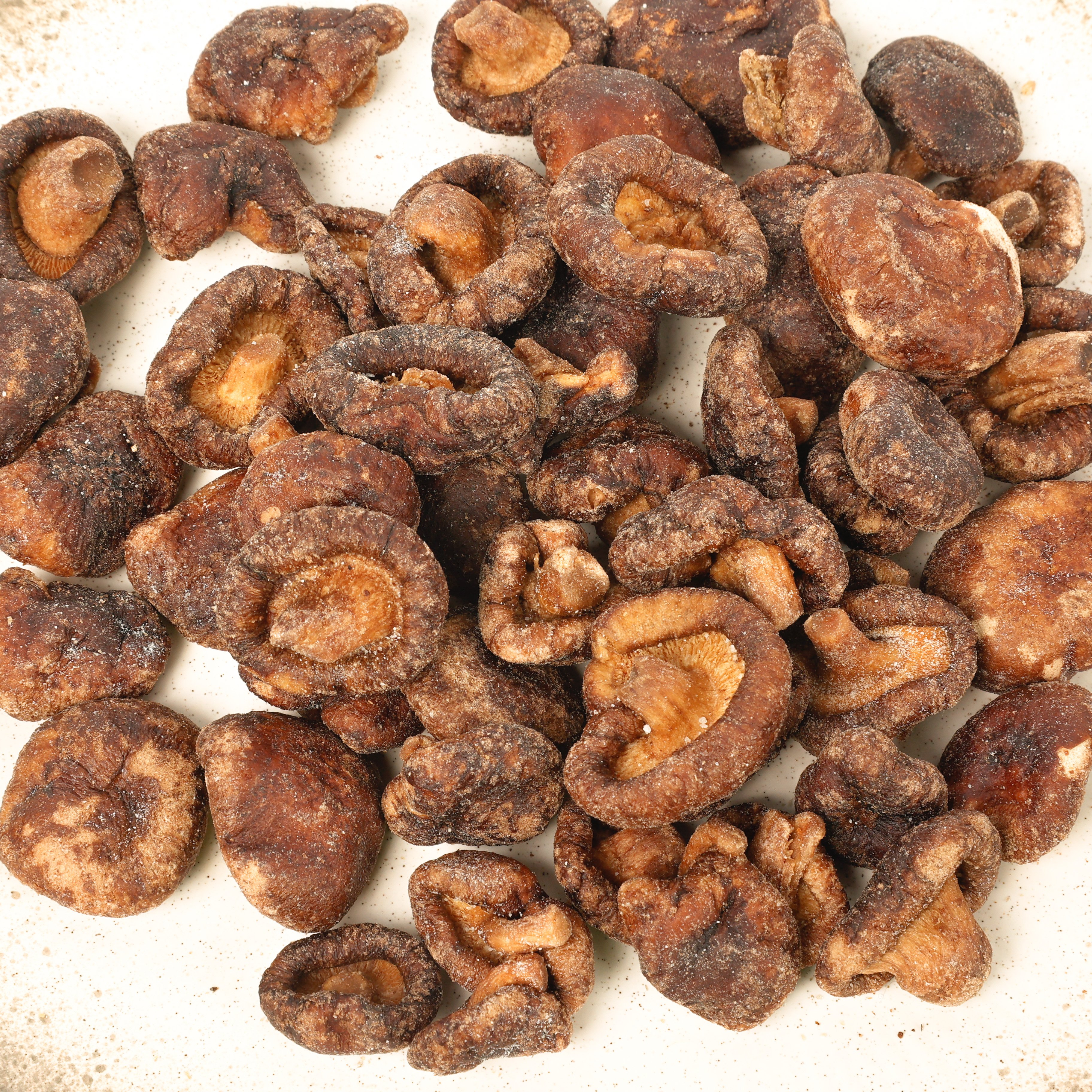 Premium Shiitake Mushrooms for Sale