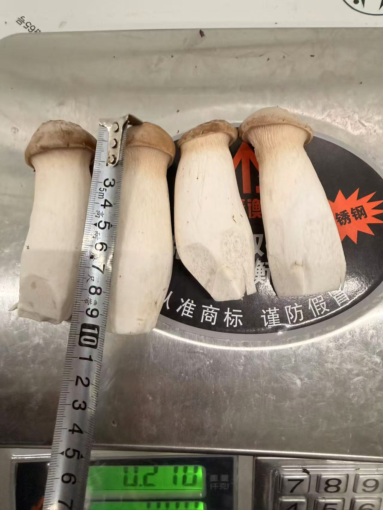 How to extend shelf life of king oyster mushroom for export shipment?